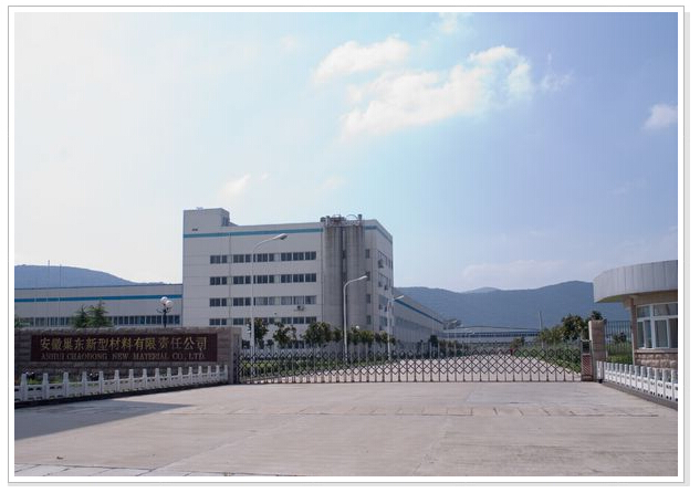 巢东PVC项目